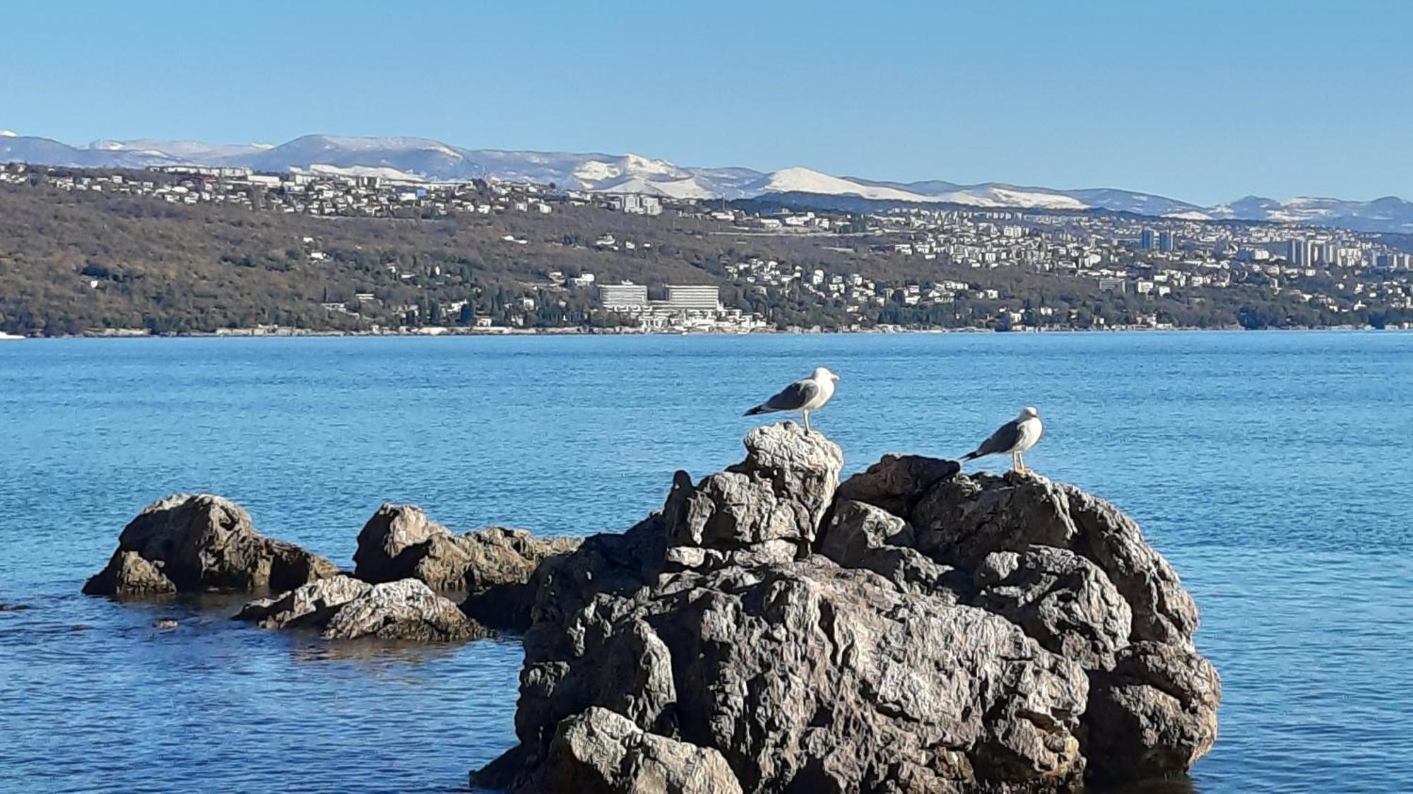 Apartman Dora Opatija Buitenkant foto